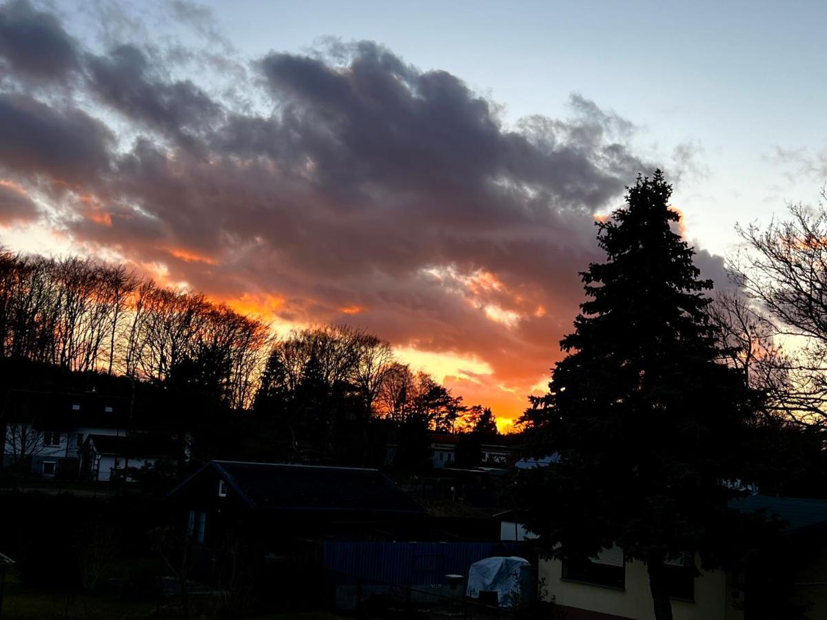 Fewo Sunshine Heringsdorf  Exteriör bild