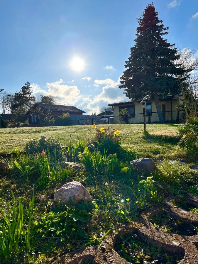 Fewo Sunshine Heringsdorf  Exteriör bild